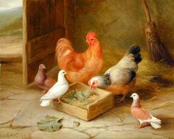 unknow artist poultry  141 Spain oil painting art